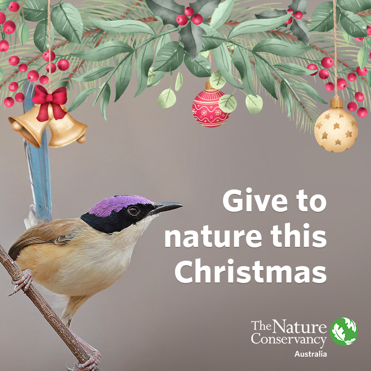 Give to Nature this Christmas The Nature Conservancy